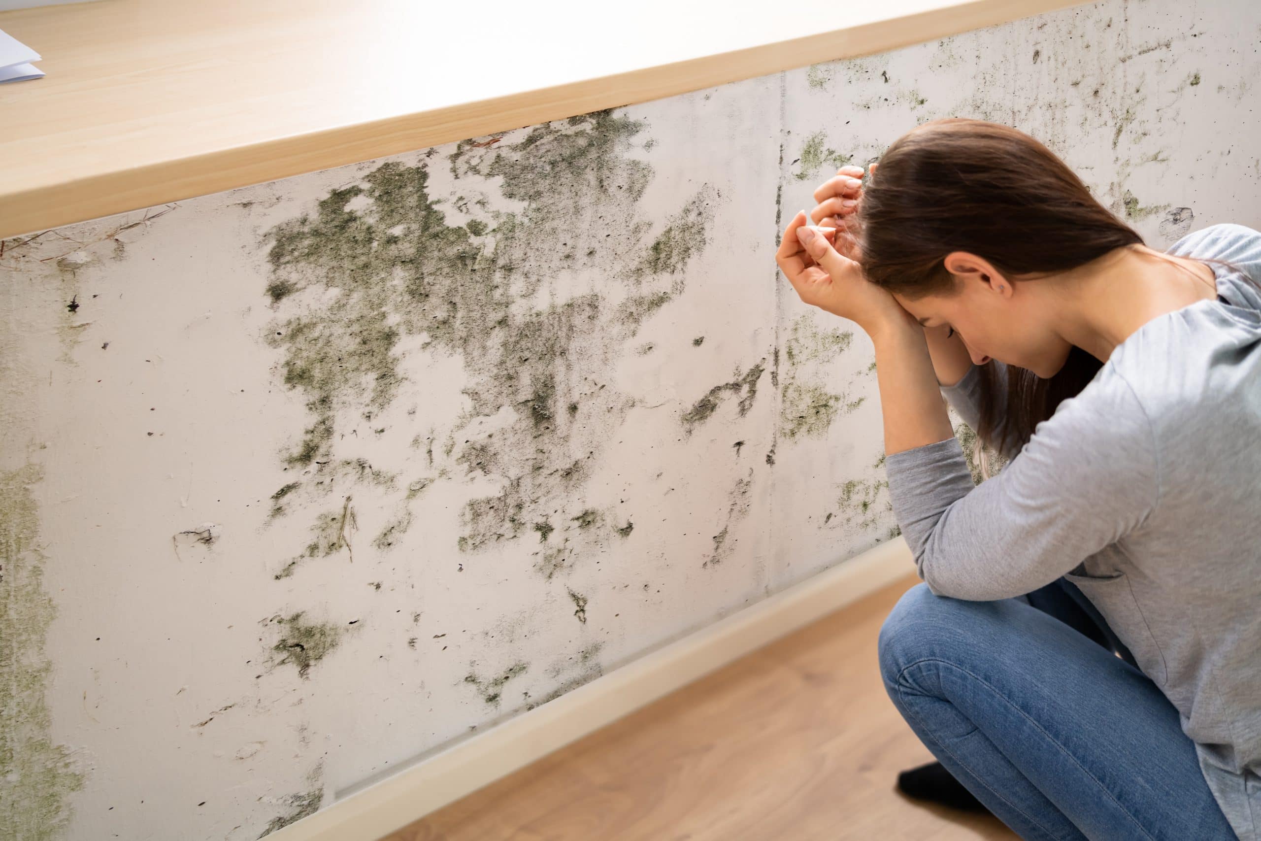 Damp Proofing & Waterproofing – example 1